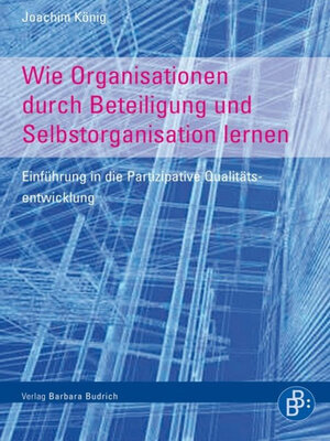 cover image of Wie Organisationen durch Beteiligung und Selbstorganisation lernen